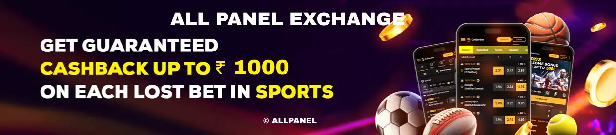 All Panel Sports Cashback
