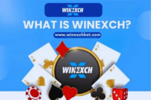 Winexch360, Winexch login